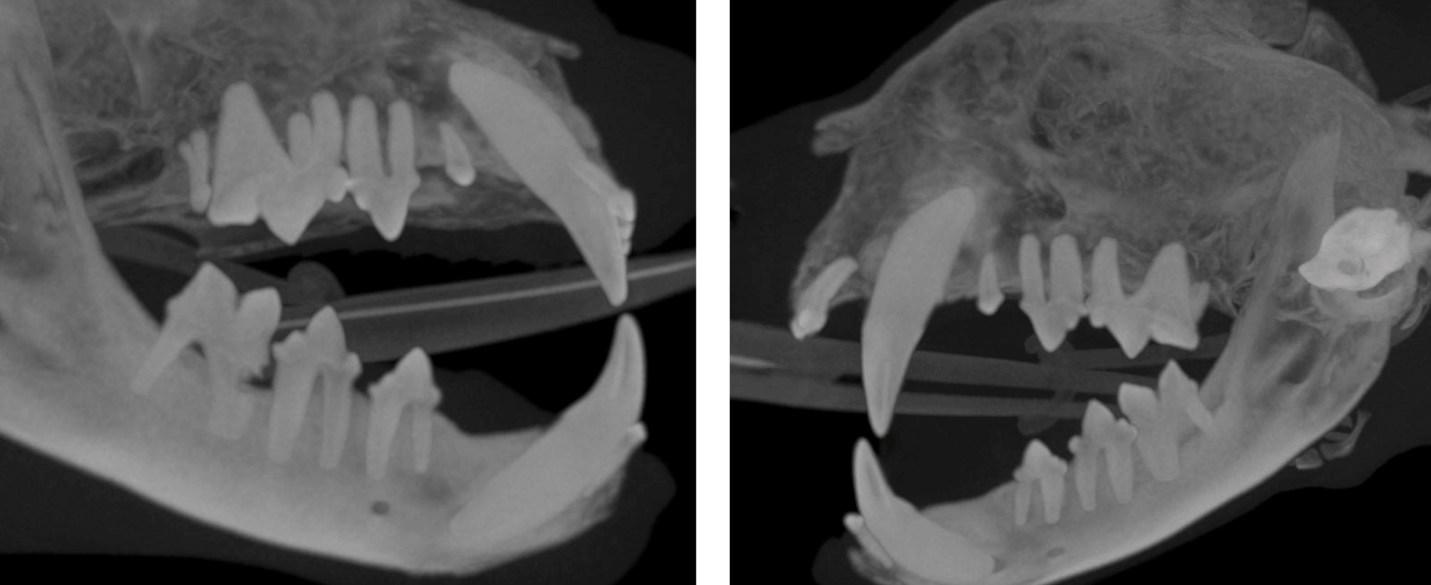 High intensity CBCT overview