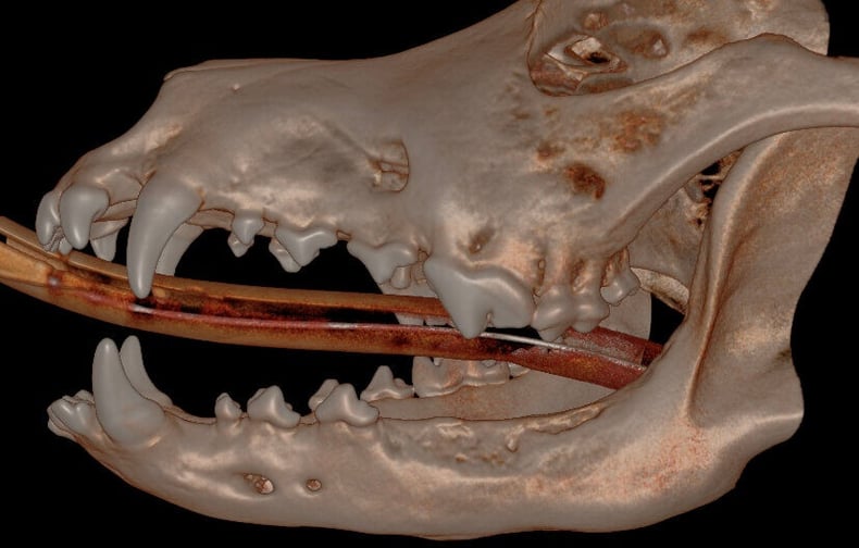 Follow Up - 3D Hard Tissue Overview (left side)