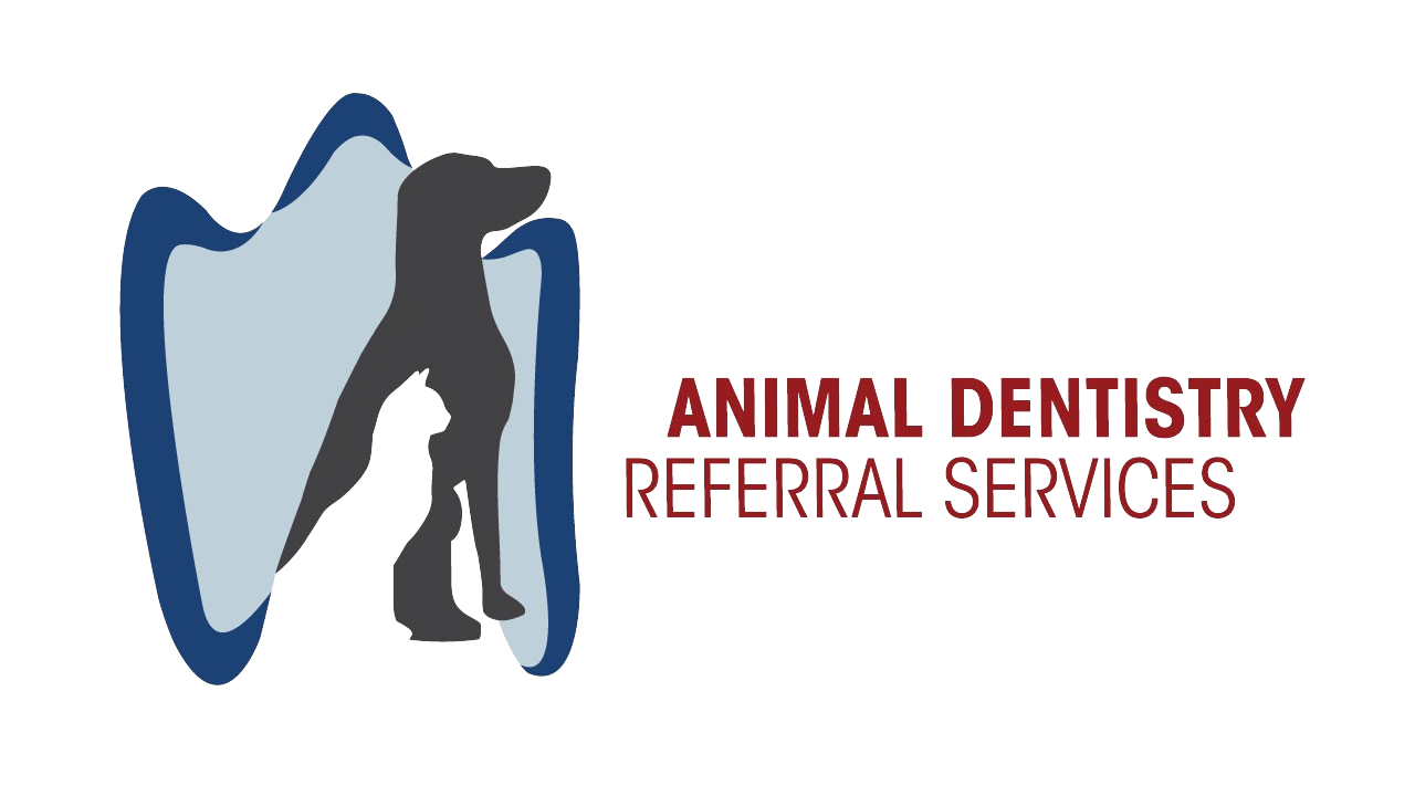 Animal-Dentistrylogo-transparent