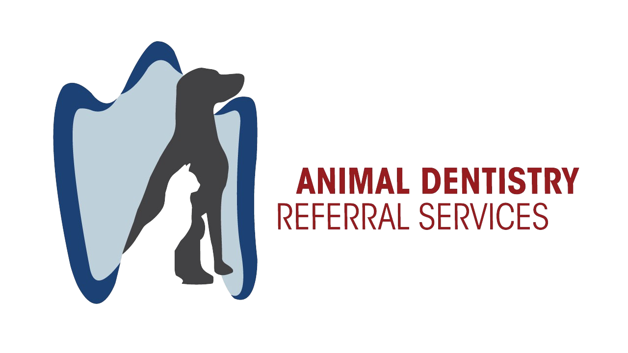 Animal-Dentistrylogo-transparent