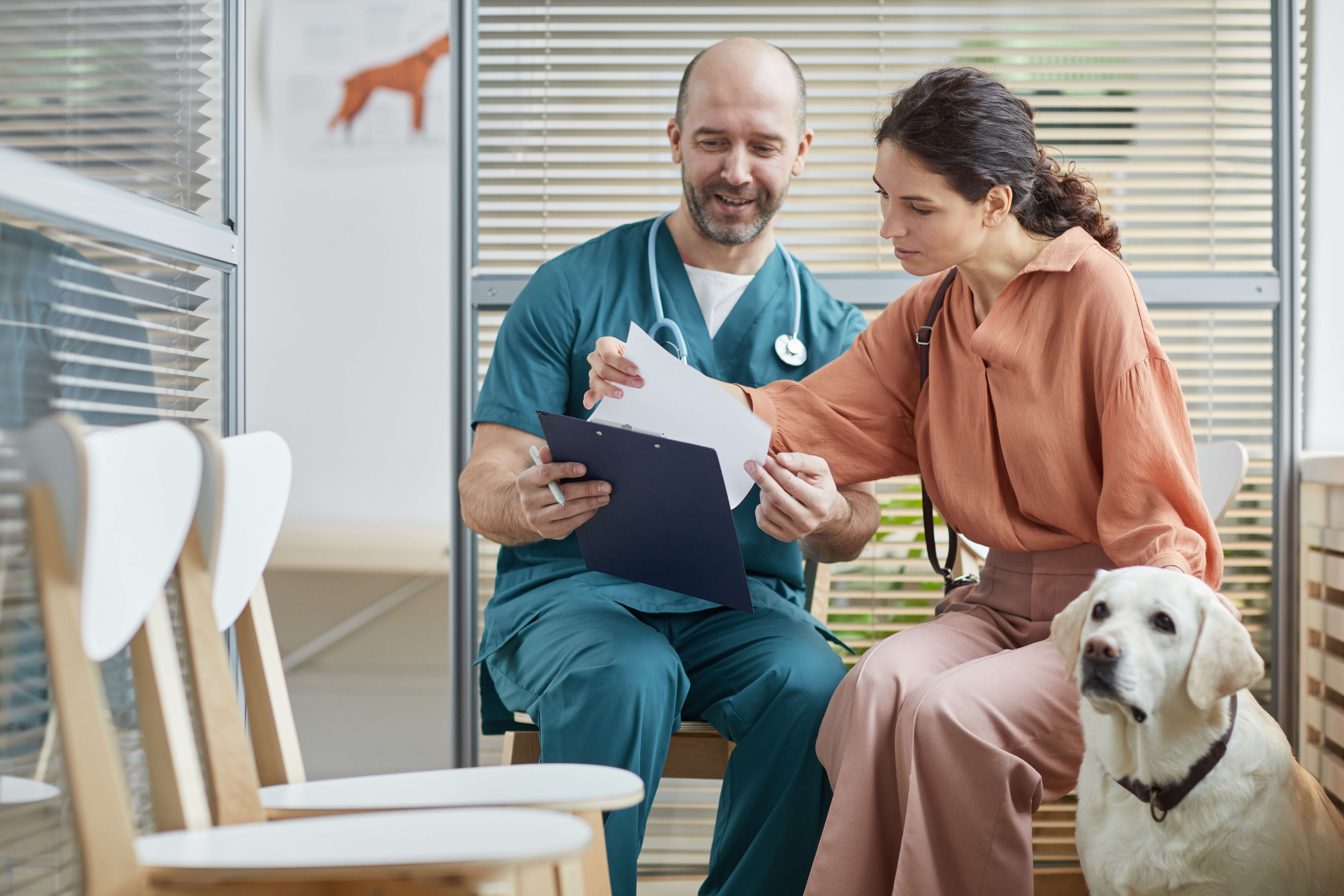 young-woman-consulting-veterinarian-2021-09-24-04-16-27-utc (1)