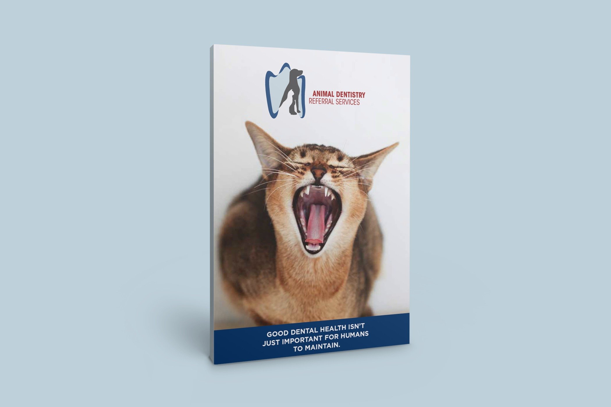 Dental Conditions printable ebook
